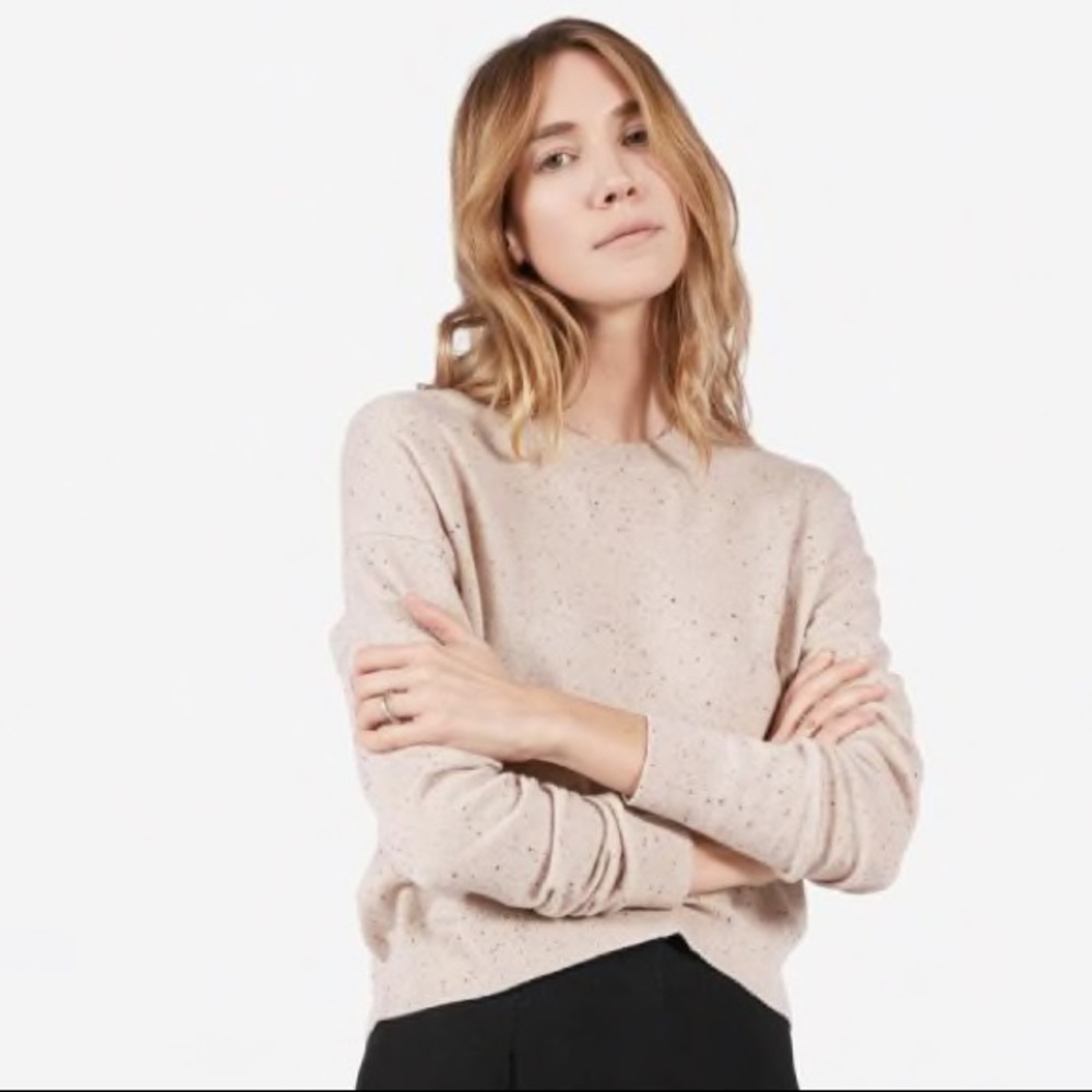 Everlane Cashmere Cropped Crew Donegal sweater XS